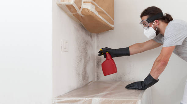 Professional Basement Mold Remediation technician working in Sharpsburg, PA