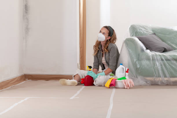 Reliable Basement Mold Remediation contractor in Sharpsburg, PA by WQB Mold Removal